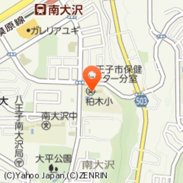 小学校　八王子市立柏木小学校（小学校）まで536m