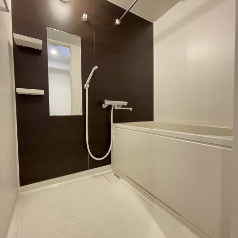 バス・シャワールーム　同仕様タイプです