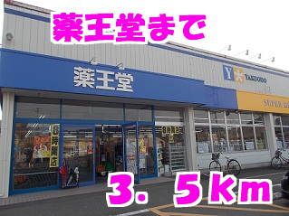 ドラックストア　薬王堂（ドラッグストア）まで3500m
