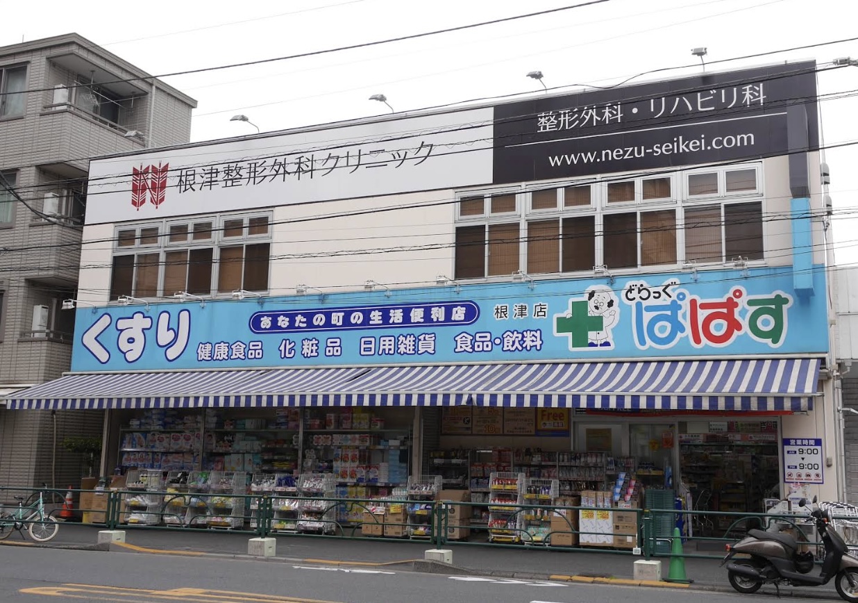 ドラックストア　どらっぐぱぱす根津店（ドラッグストア）まで696m
