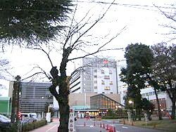 病院　武蔵野赤十字病院（病院）まで600m