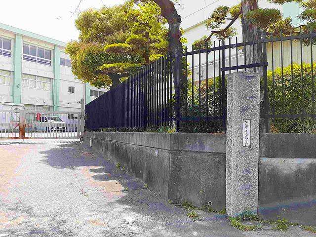 小学校　一宮市立　千秋南小学校（小学校）まで1100m