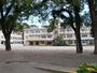 小学校　宇宿小学校（小学校）まで295m