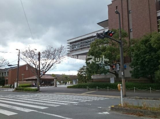 【京田辺市三山木南山のアパートの大学・短大】