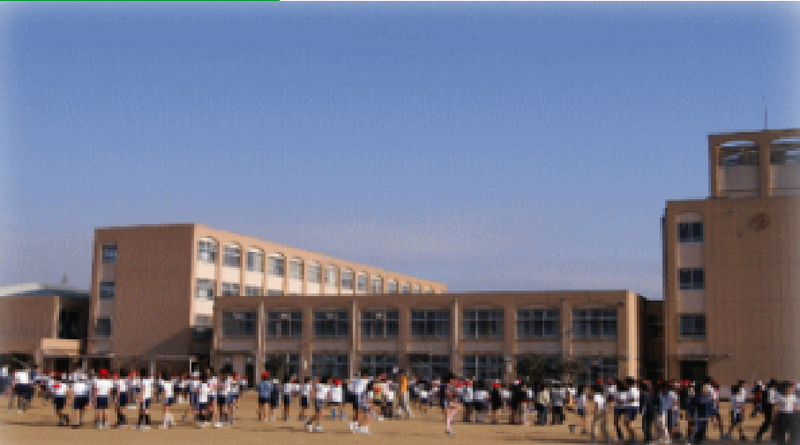 小学校　南落合小学校（小学校）まで565m