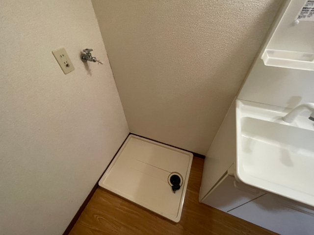 その他部屋・スペース　室内に洗濯機スペース有ります。