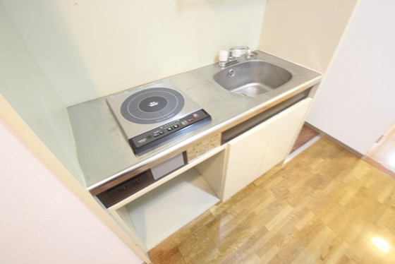 キッチン　※写真は別号室です