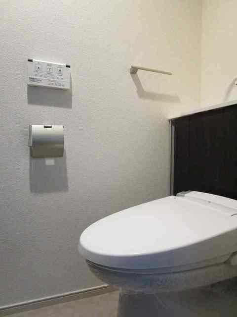 アムール 琴 IIIのトイレ写真