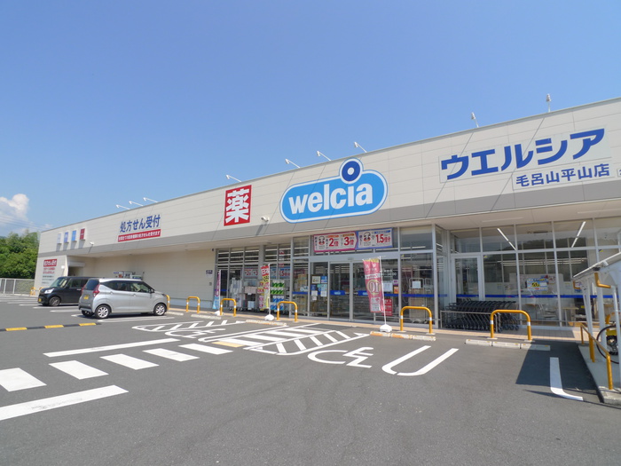ドラックストア　ウエルシア　毛呂山平山店（ドラッグストア）まで270m