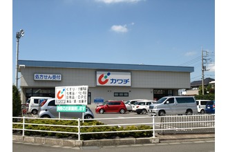 ドラックストア　カワチ薬品 自治医大店（ドラッグストア）まで304m