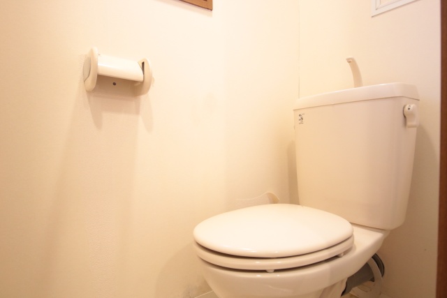 トイレ　※他部屋の参考写真です。