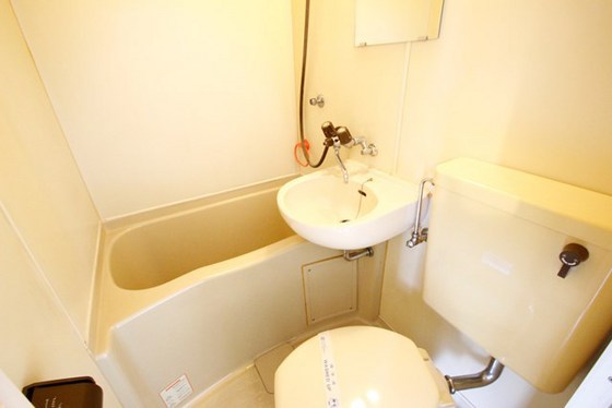 バス・シャワールーム　※別号室のお写真となります。