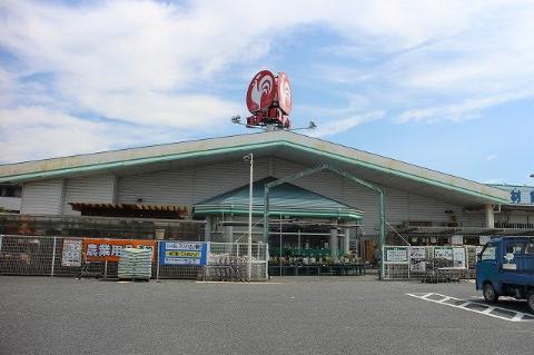 その他　コメリハード＆グリーン河内河南店（その他）まで3195m