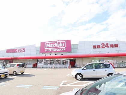 スーパー　ガイナシティマックスバリュ上市店（スーパー）まで667m