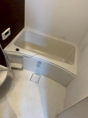 バス・シャワールーム　落ち着いた空間のお風呂です