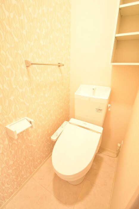 ＪＲ土讃線 善通寺駅 徒歩16分 2階建 築10年のトイレ写真