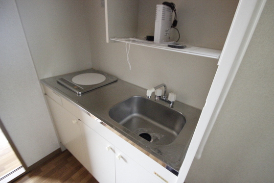 キッチン　※別号室の写真です