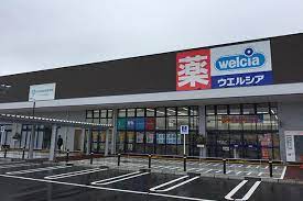 ドラックストア　ウエルシア フレスポ春日井店（ドラッグストア）まで846m
