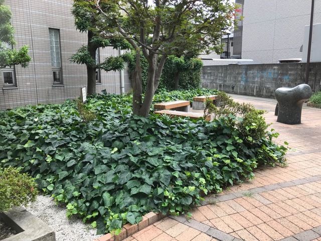 公園　戸越一丁目緑地（公園）まで556m