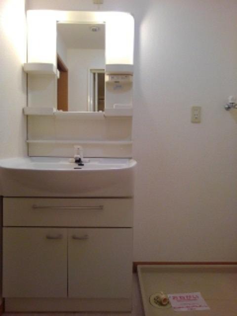 洗面設備　シャワー付き洗面台です。