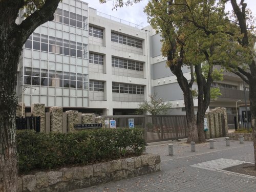小学校　尼崎市立　難波の梅小学校（小学校）まで307m
