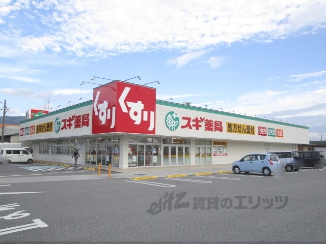 ドラックストア　スギ薬局木之本店（ドラッグストア）まで800m