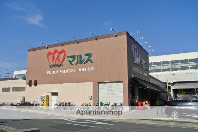 スーパー　マルスフードショップ常滑駅前店（スーパー）まで339m