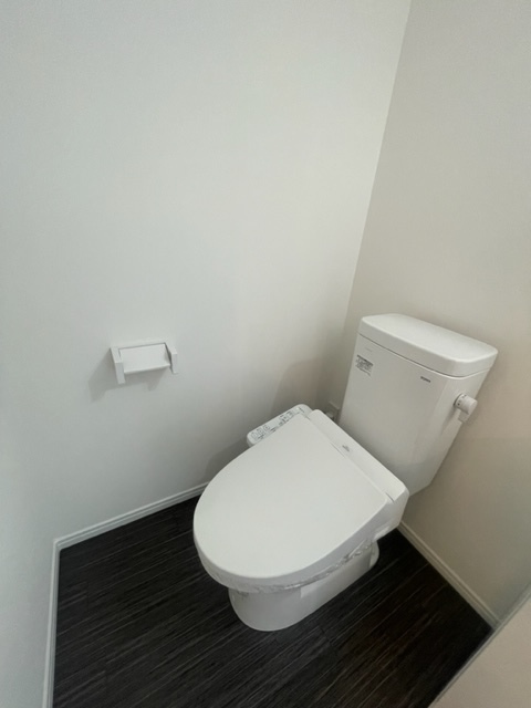 トイレ　同シリーズ参考画像