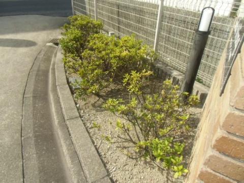 庭　庭（イメージ）