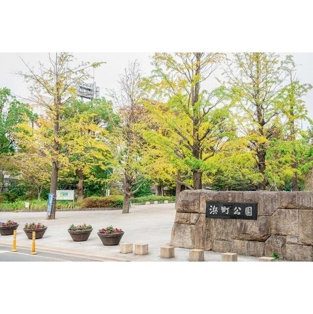 眺望　浜町公園まで230m