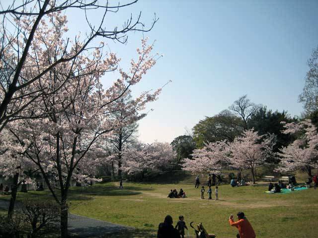 公園　奥須磨公園（公園）まで666m