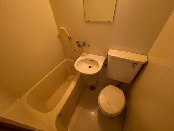 バス・シャワールーム　※別部屋の写真です