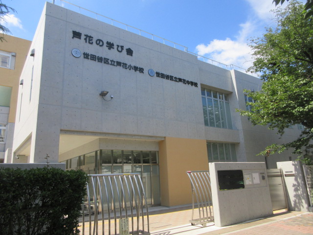 小学校　世田谷区立芦花小学校（小学校）まで609m