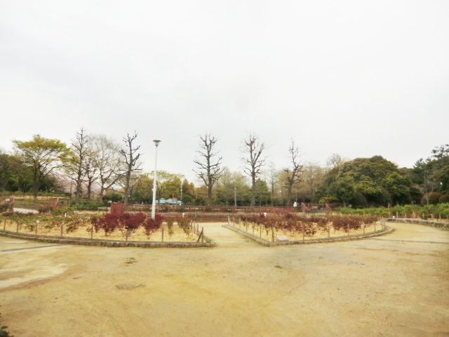 公園　大井戸公園（公園）まで572m