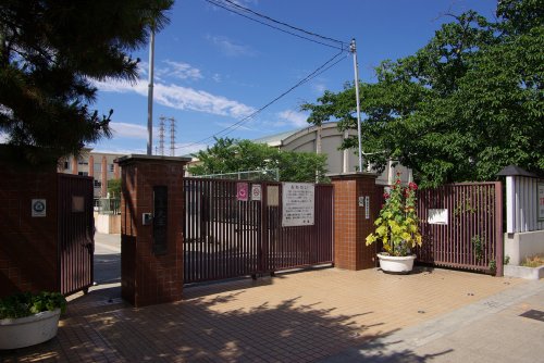 小学校　尼崎市立　大庄小学校（小学校）まで445m