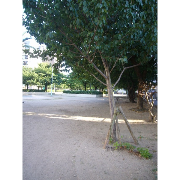 公園　南天満公園（公園）まで540m