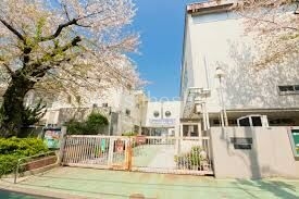 小学校　渋谷区立鳩森小学校（小学校）まで790m
