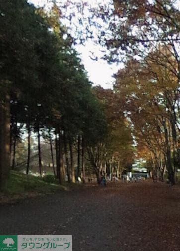 公園　鶴間公園（公園）まで1190m