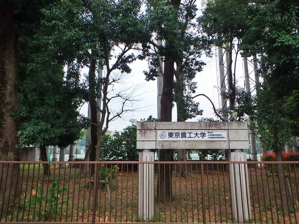 大学・短大　国立大学法人東京農工大学 府中キャンパス（大学・短大）まで2500m