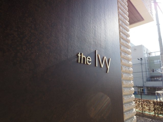 その他　the Ivy