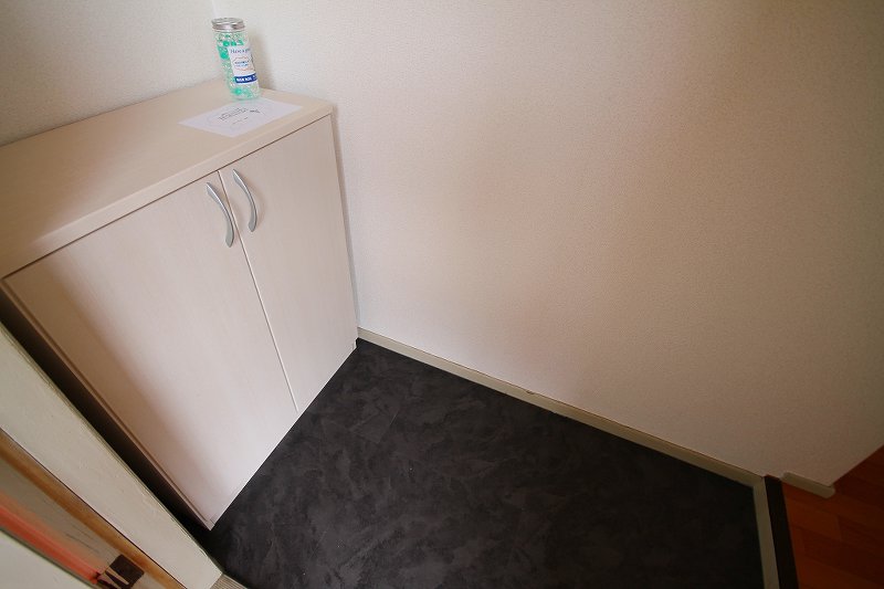 玄関　※同物件の他のお部屋(設備等、実際と異なる場合あり)