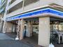 コンビニ　ローソン 新安城駅前店（コンビニ）まで1042m