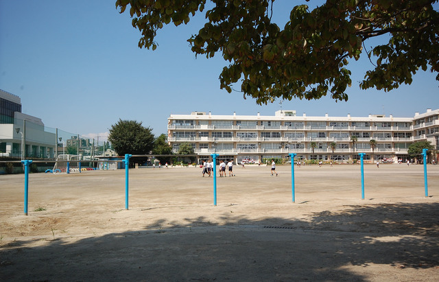 小学校　朝霞市立朝霞第六小学校（小学校）まで484m