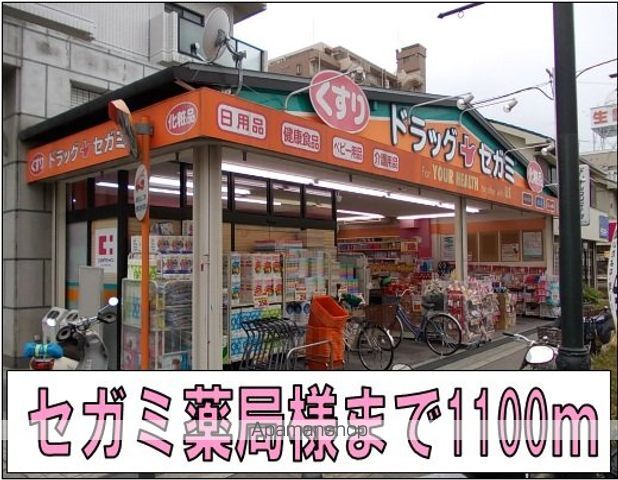 ドラックストア　セガミ薬局様（ドラッグストア）まで1100m
