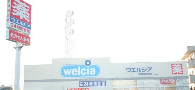 ドラックストア　ウエルシア甲斐開国橋店　徒歩９分（ドラッグストア）まで700m