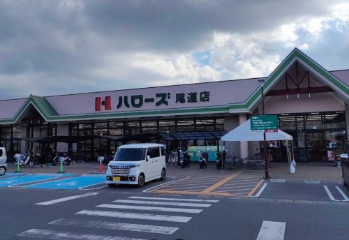スーパー　ハローズ　尾道店（スーパー）まで1656m