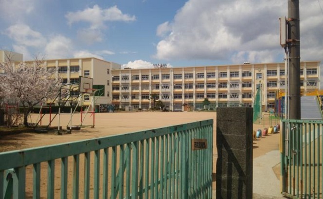 小学校　南五葉小学校（小学校）まで313m