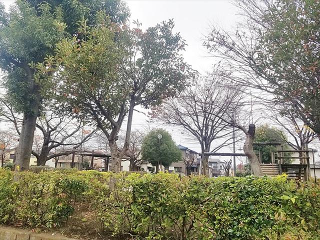 公園　さくら公園（公園）まで557m