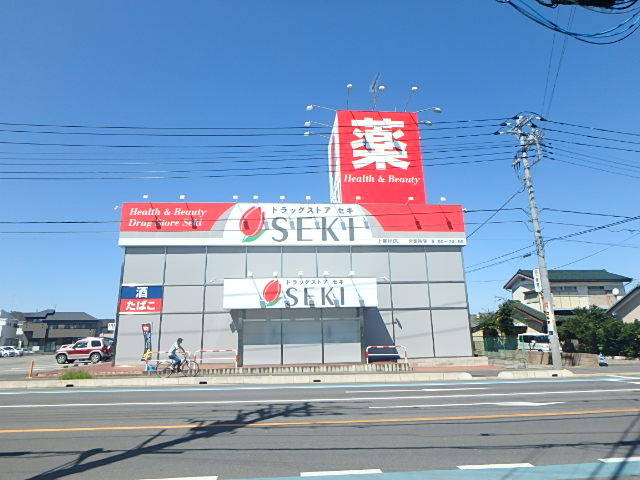 ドラックストア　ドラッグストアセキ上尾川店（ドラッグストア）まで562m