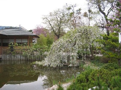 公園　世田谷公園（公園）まで252m